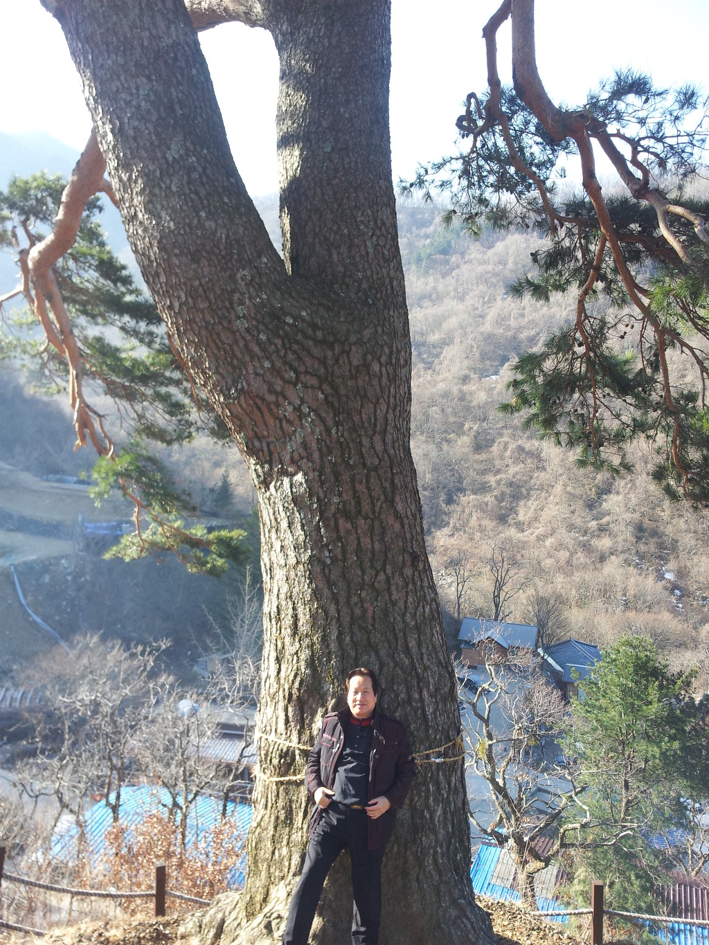 고향어탕국수 이미지