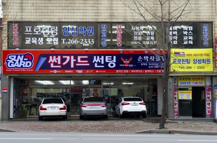 손박사클럽 이미지