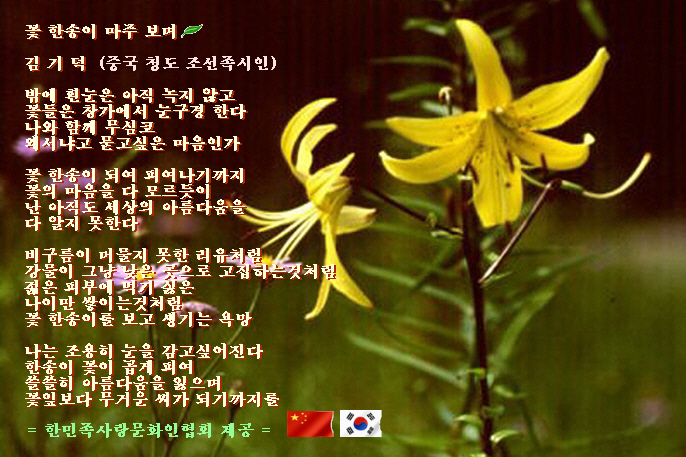 사랑통신 이미지