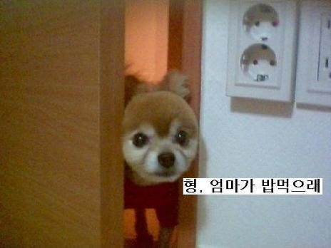 엄마밥도 이미지