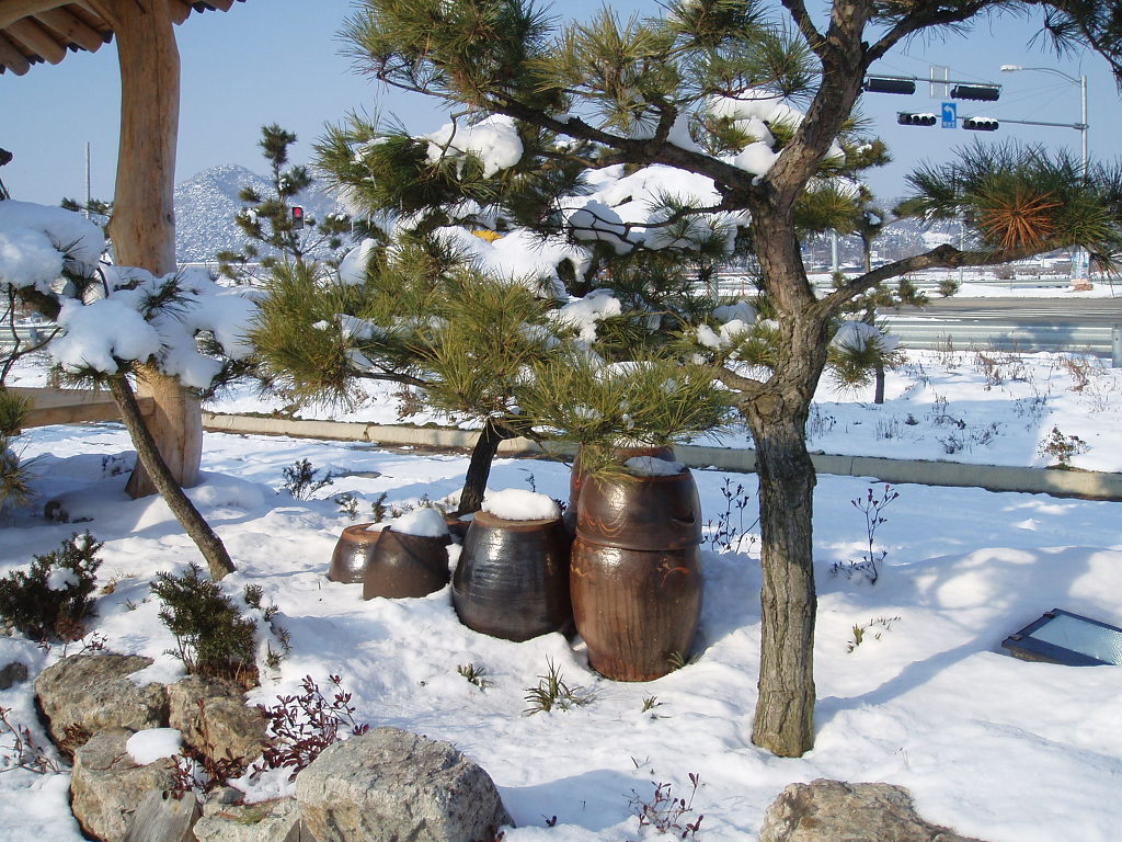 고창산속골복분자영농조합 이미지