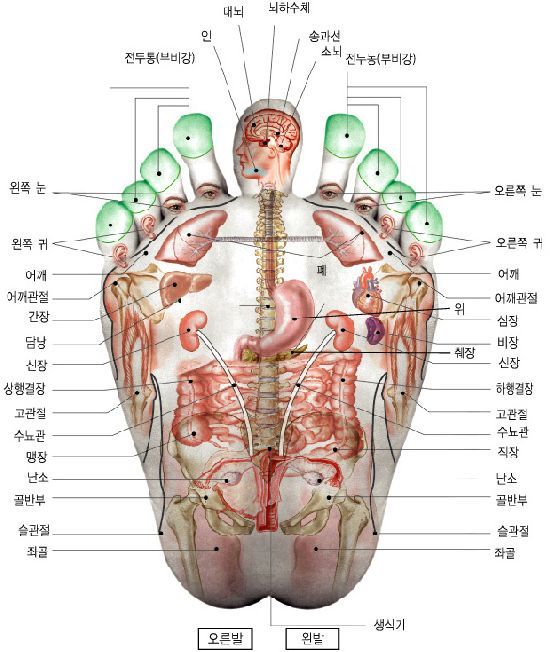 솟을 이미지