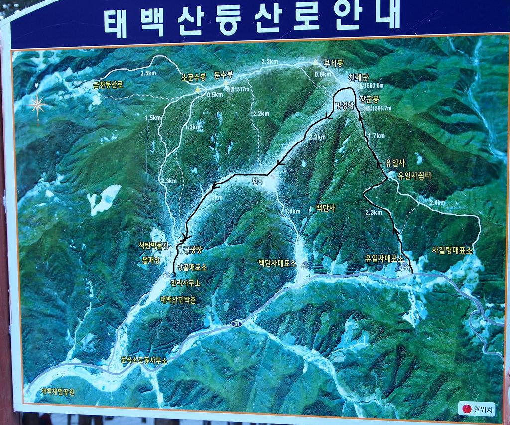 숲향여행사 이미지