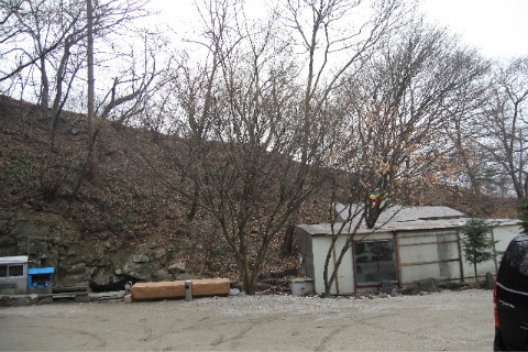 계룡산주유소 이미지
