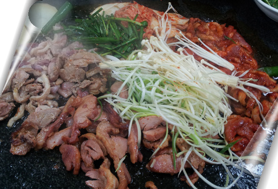 황금오리 이미지