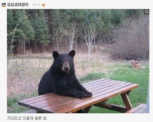 웅녀 이미지