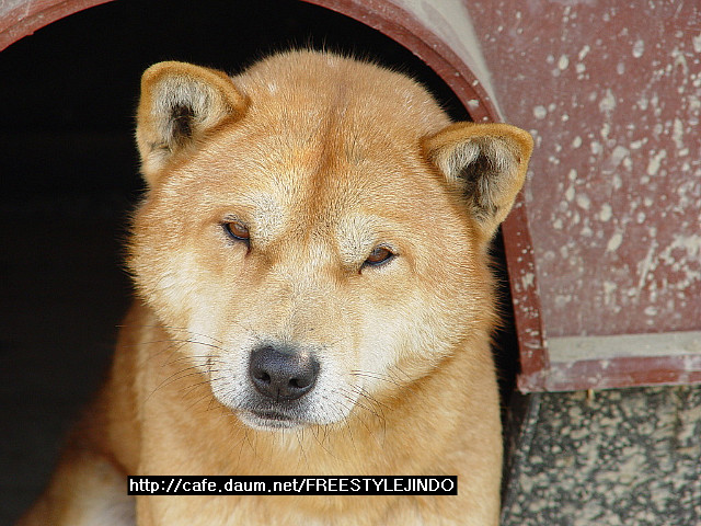 곰바우 이미지