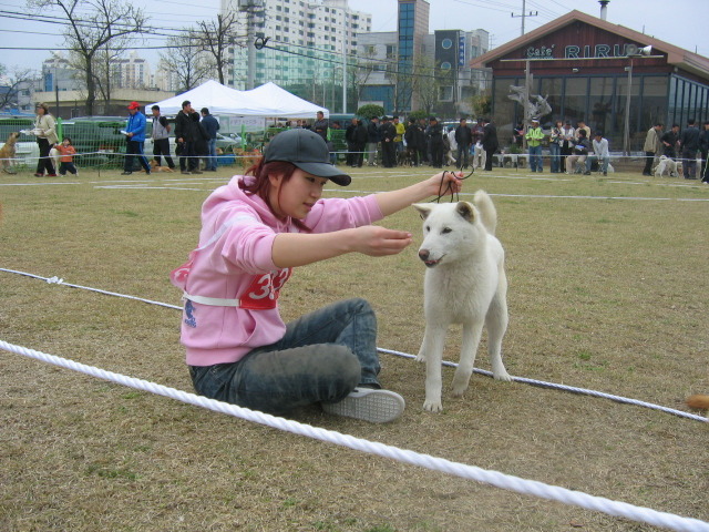 조*진 이미지