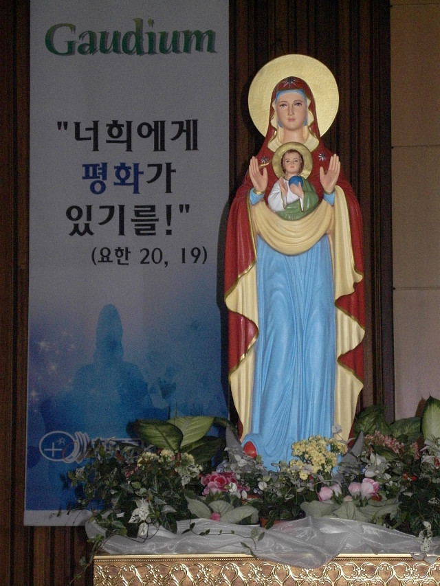 바다의별 이미지