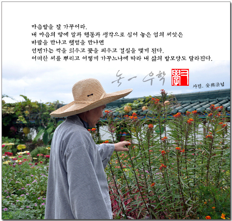 삶의모양 이미지
