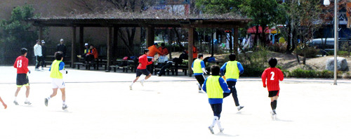 서울대청초등학교 이미지
