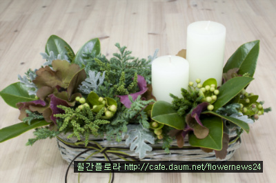 리빙플라워 이미지