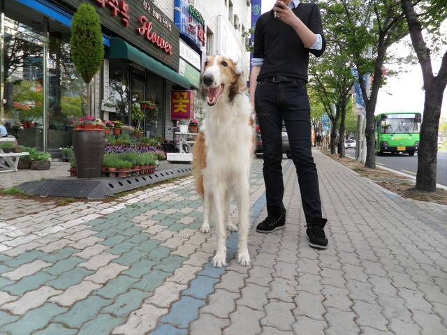 위로 이미지
