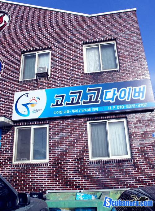 고고고리조트 이미지