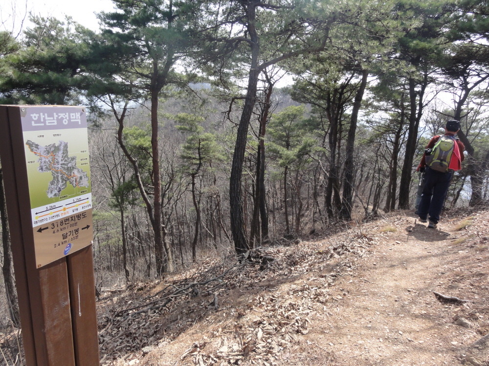 산불감시철탑 이미지