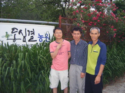 동심결 이미지