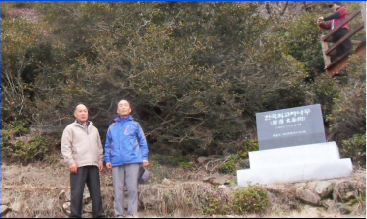 꿀벌사랑 이미지