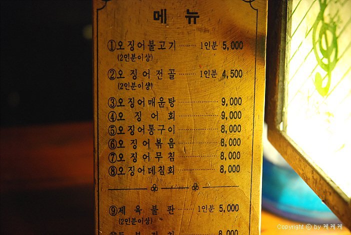 낭만오징어 이미지