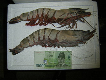 (주)석하 이미지