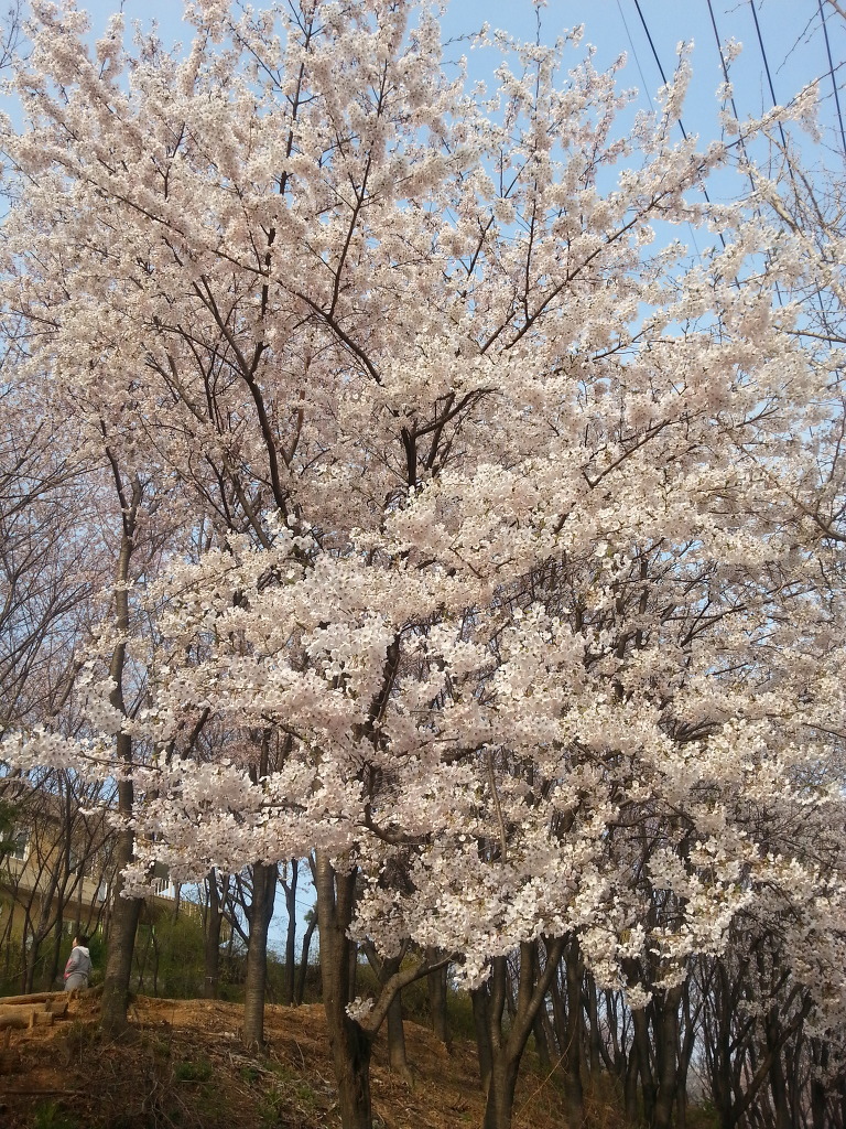 엄지공주 이미지
