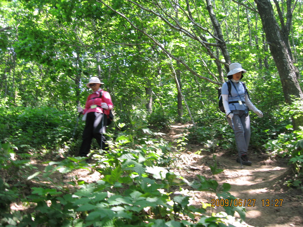 삼공주 이미지