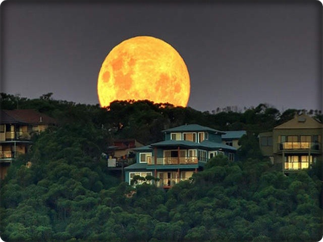 국짱 이미지