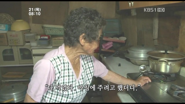 고양이 구박하는 훈할머니.JPG | 인스티즈