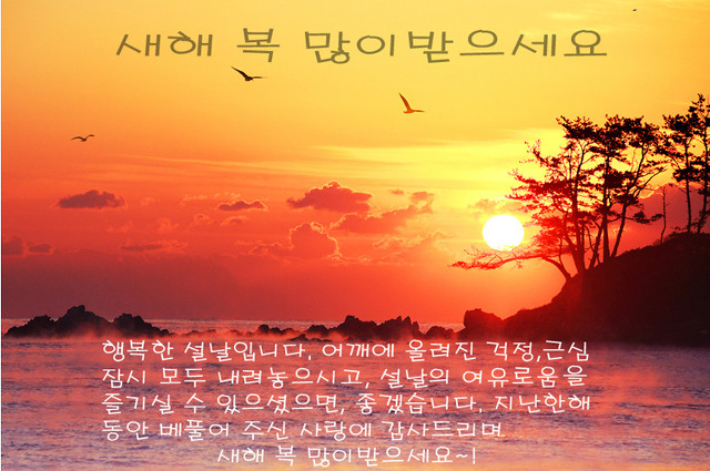 마니마니 이미지