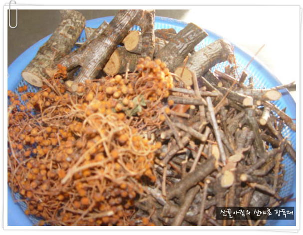 정선산야초 전통식품 이미지