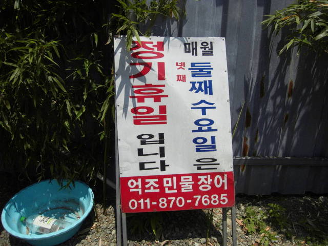 억조민물장어 이미지