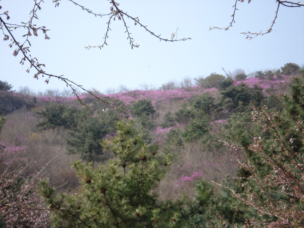 자은초등학교 이미지