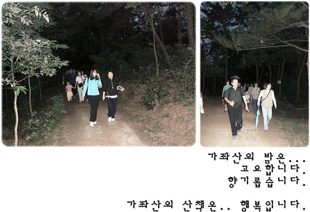 세종유치원 이미지