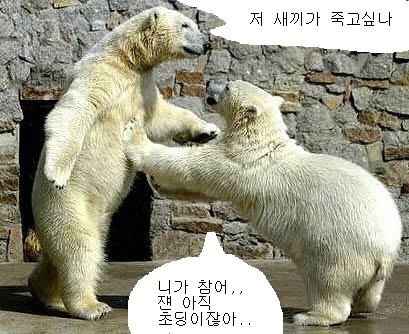친구끼리 이미지