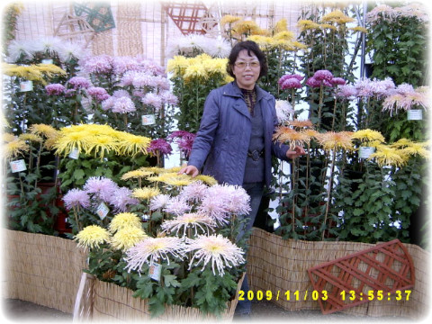 국화호수 이미지
