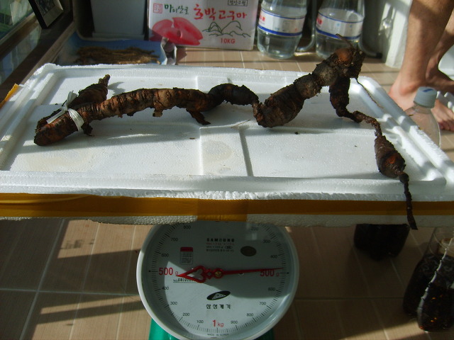 경남생약초 이미지