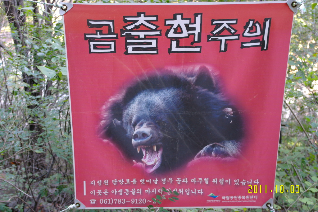 큰세계 이미지