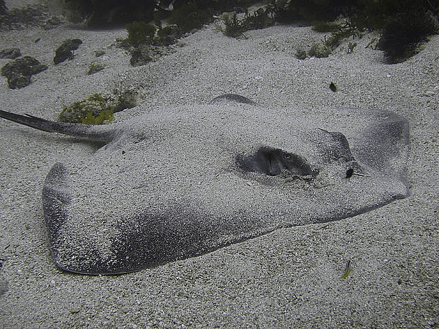 1758CC4B4D4EAB2E08142A