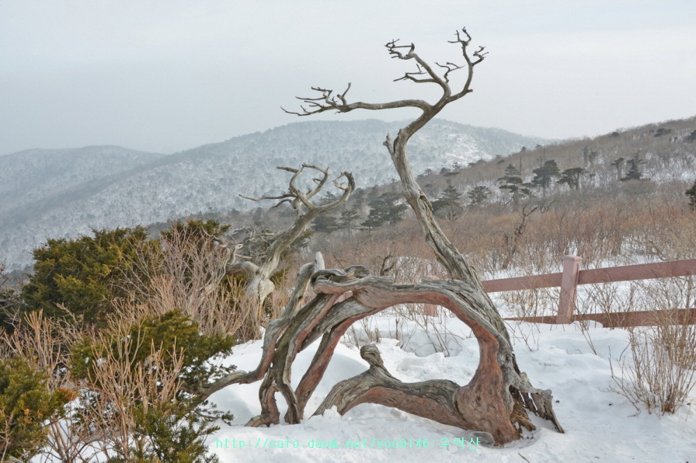 태백산 전경 이미지