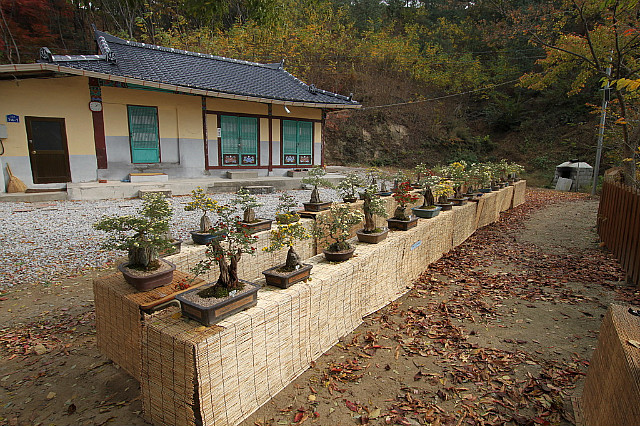 국성 이미지