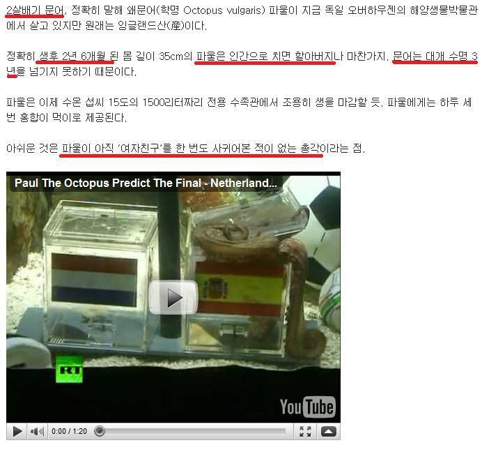 이문어세상 이미지