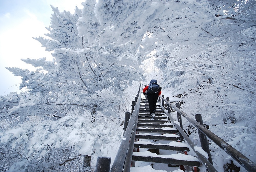 지리산서바이벌 이미지