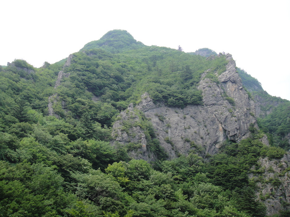 삼부주유소 이미지