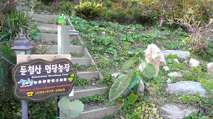 먼당농장 이미지