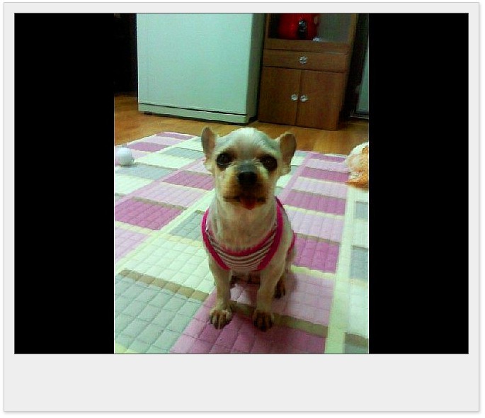우리족발 이미지