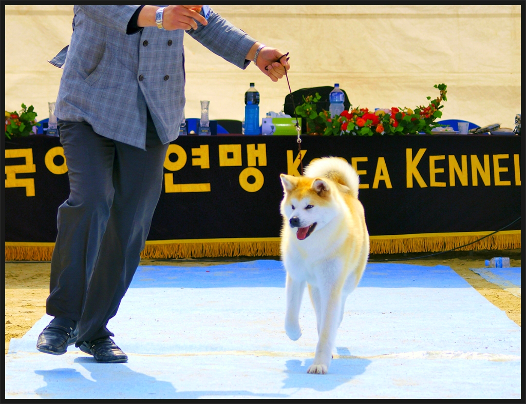 미카엘라 이미지