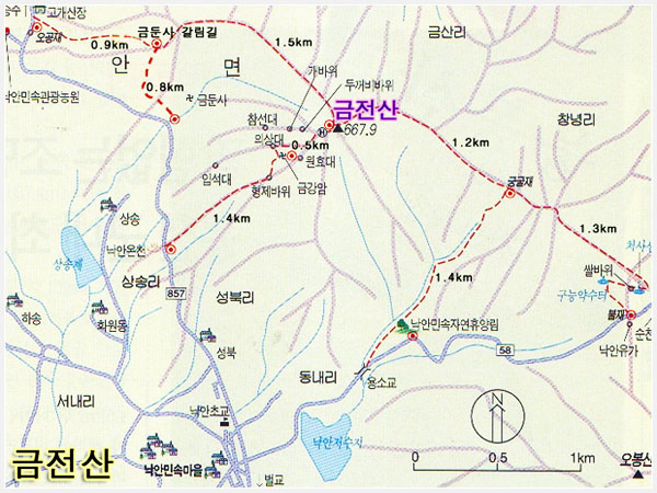 성서유통주 이미지