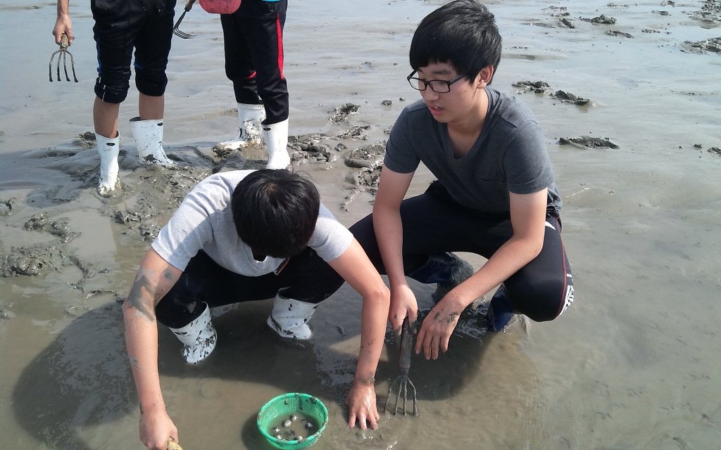 갯벌탐사 이미지