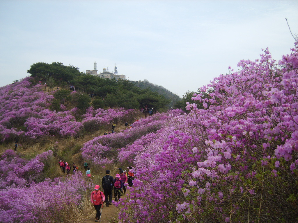 고려산 이미지