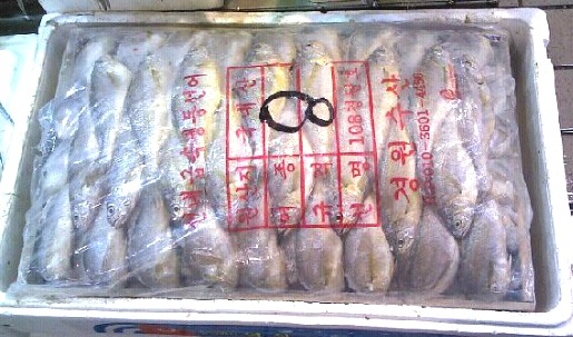 선영상회 이미지