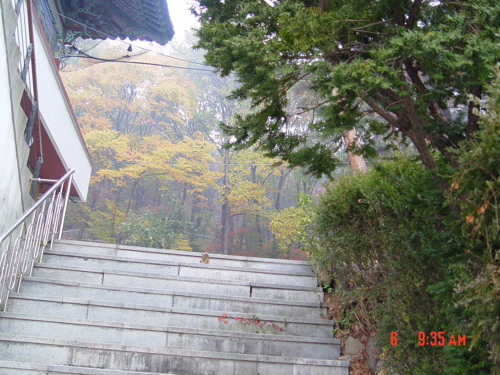 삼정사 이미지